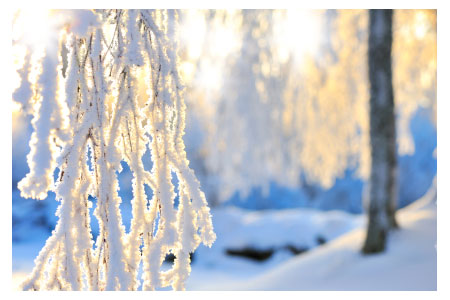 image de givre et de neige