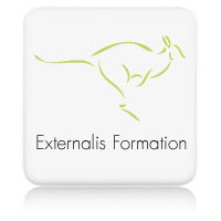 Optimisation du référencement pour Externalis Formation