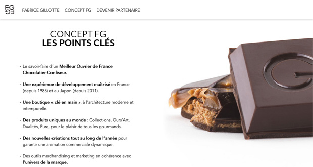 site Internet Fabrice Gillotte