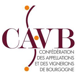 logo cavb