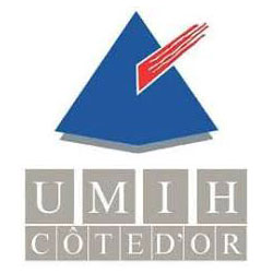 logo umih 21