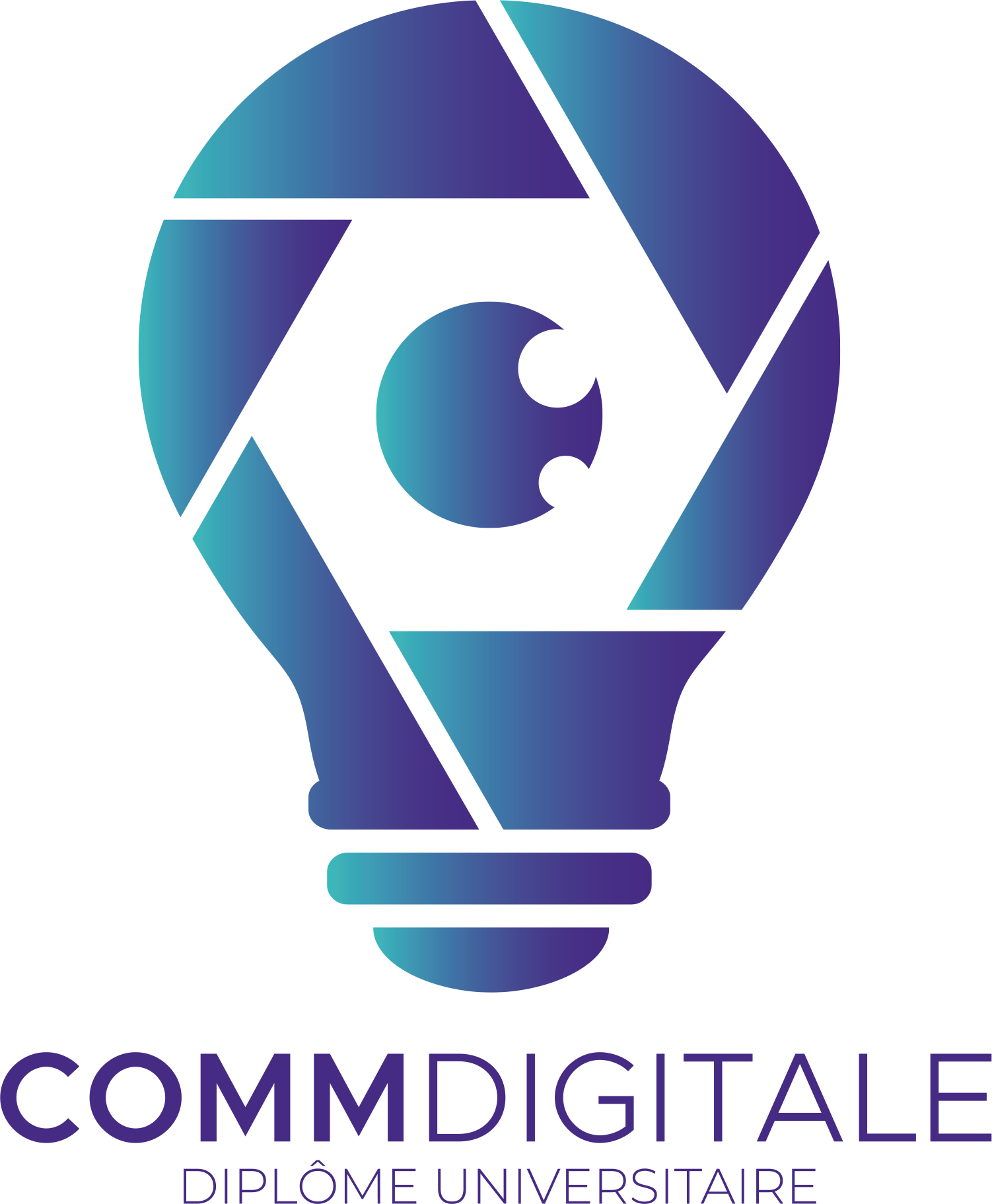 DU Communication Digitale Dijon