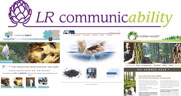 LR Communicability propulse ses clients sur le web