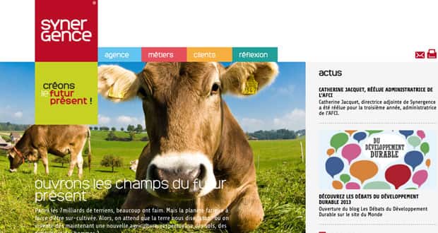 Nouveau site Internet pour Synergence