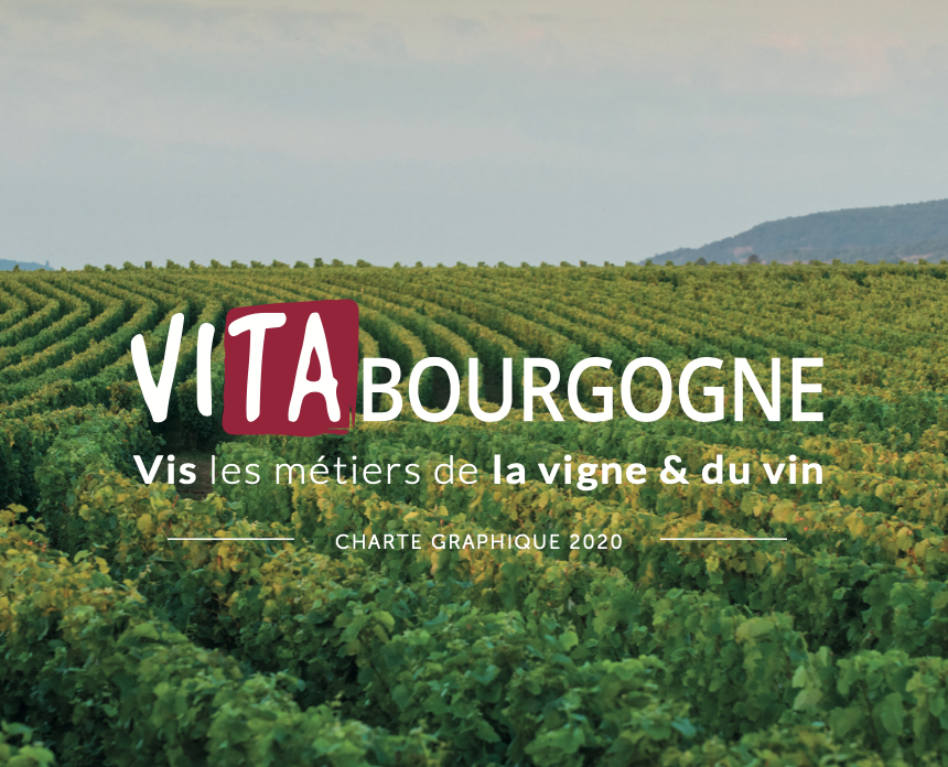 vita bourgogne